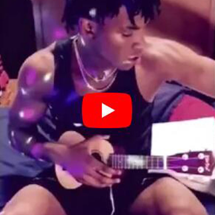 Everjoys Ukulele Introduktion